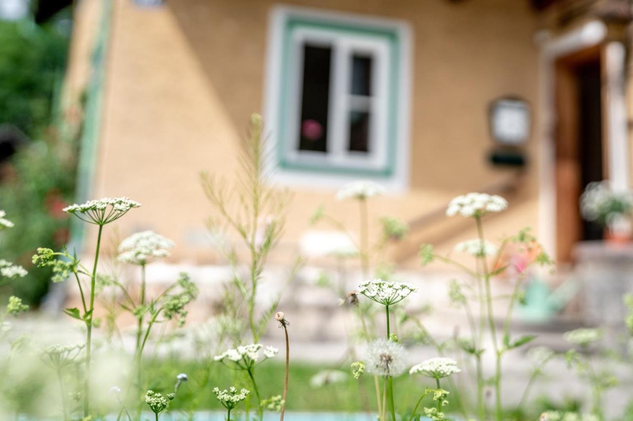Family Hideaway Mit Baby- Und Kleinkindausstattung Apartment Hallstatt Exterior foto