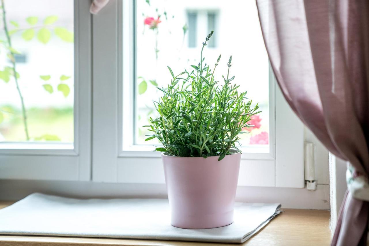 Family Hideaway Mit Baby- Und Kleinkindausstattung Apartment Hallstatt Exterior foto